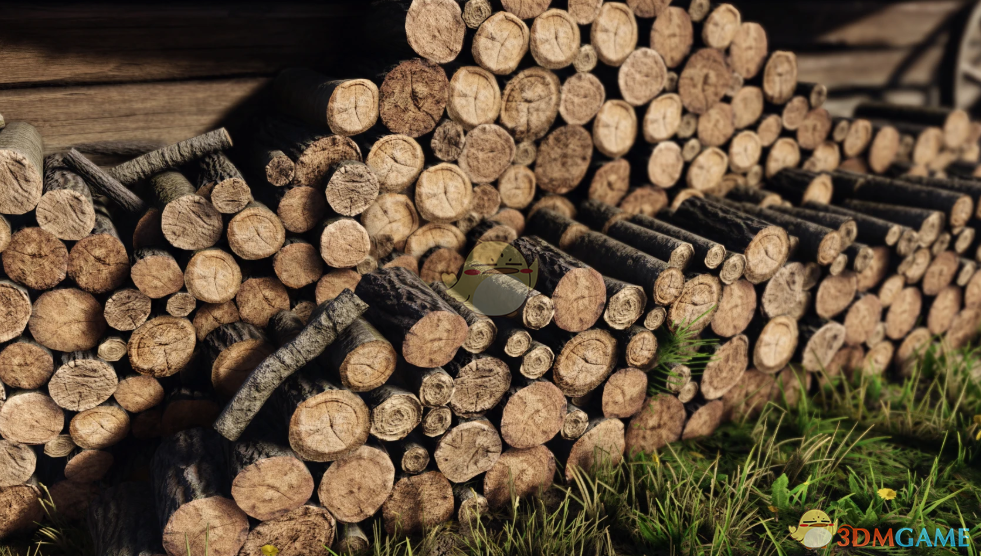 《天国：拯救2》可见性更好的画面预设MOD