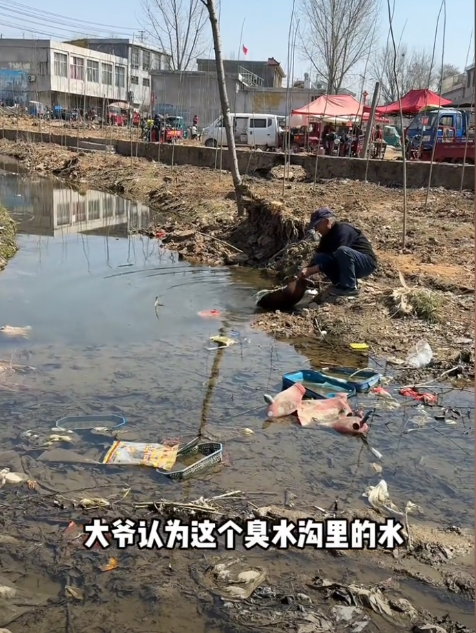 比大口“食史”更难过的事，是去山东大集吃“僵尸金枪鱼”