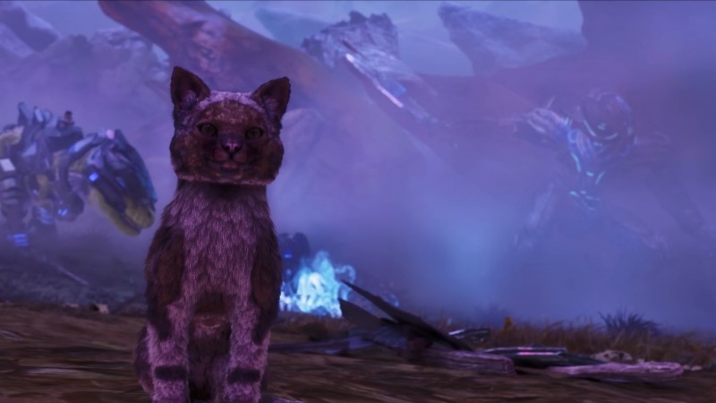 《方舟生存飞升》可爱新生物“猫”上线，性格各异，猫党狂喜