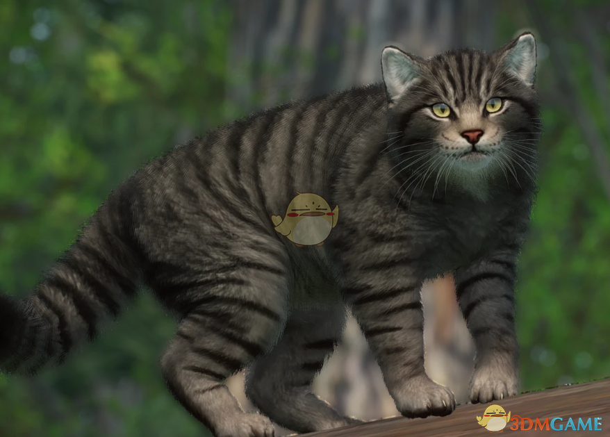 《动物园之星》新物种欧洲野猫MOD