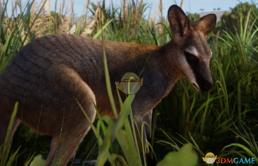 《动物园之星》新物种图拉克袋鼠MOD