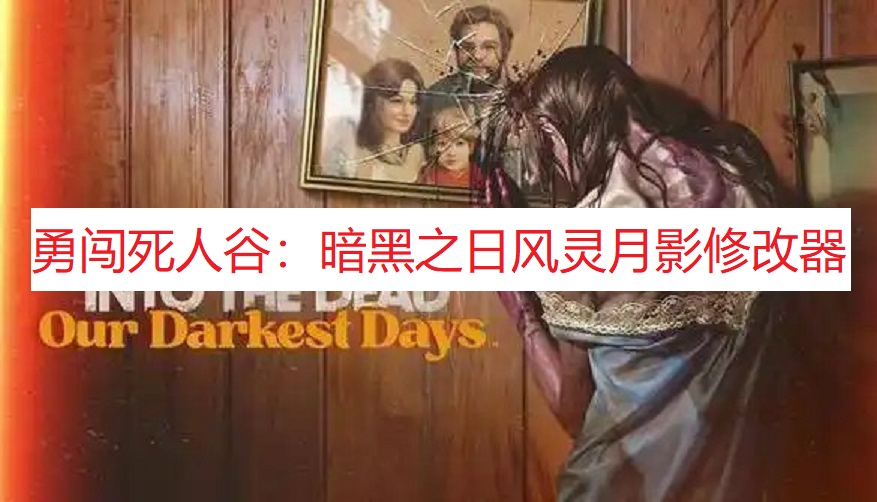 《勇闯死人谷：暗黑之日》风灵月影修改器