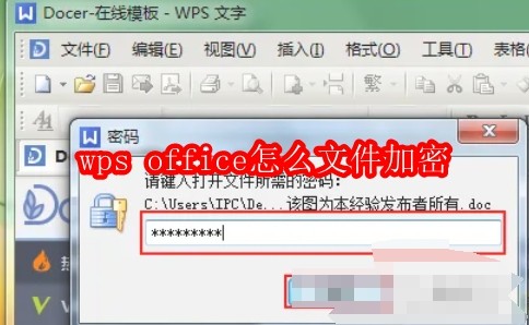 wps office怎么文件加密