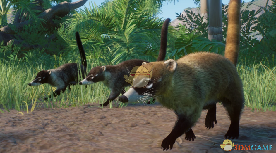 《动物园之星》新物种白鼻浣熊MOD