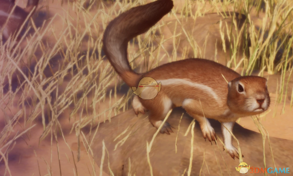 《动物园之星》新物种南非地松鼠MOD