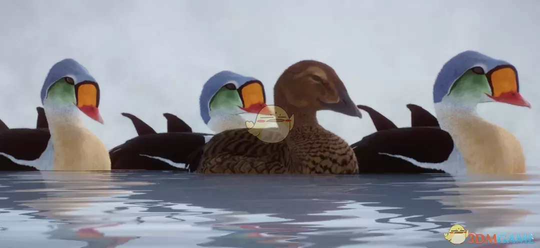 《动物园之星》新物种王绒鸭MOD