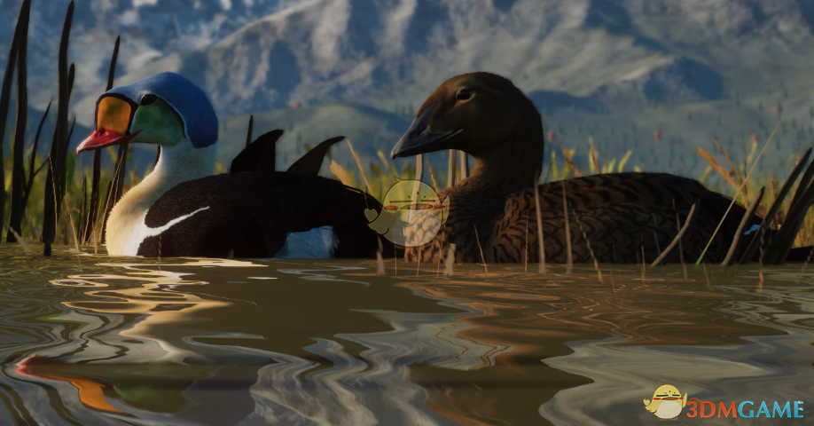 《动物园之星》新物种王绒鸭MOD