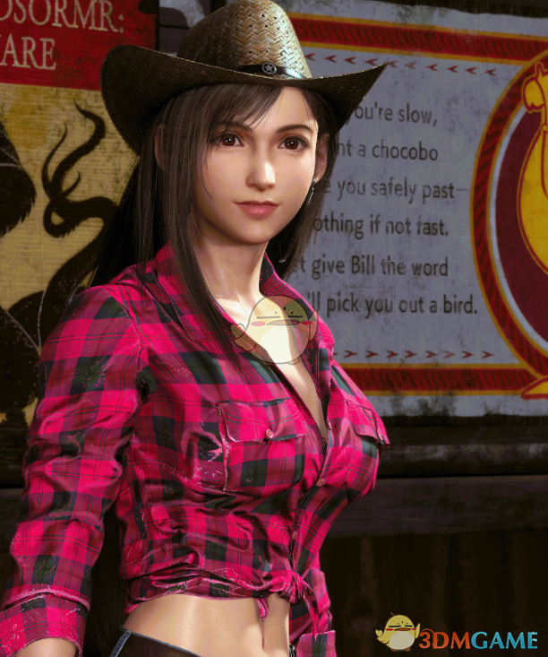 《最终幻想7：重生》蒂法的性感西部牛仔套装MOD