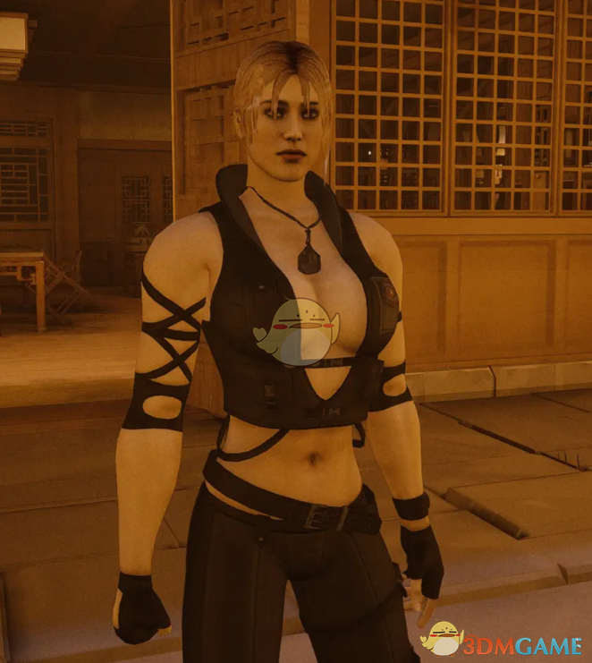 《师父》扮演真人快打刀锋索尼娅MOD