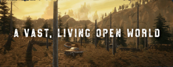 《暗夜绝望》中文版