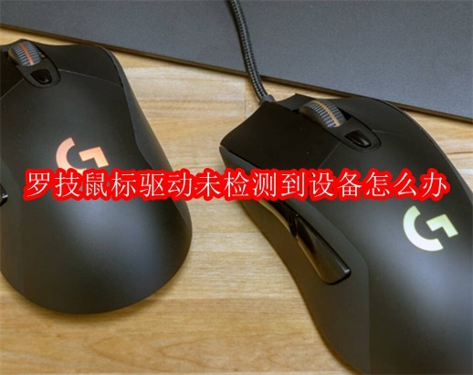 罗技鼠标驱动未检测到设备怎么办