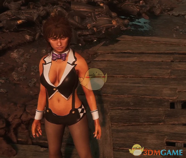 《光与影：33号远征队》熙艾尔的性感兔女郎套装MOD