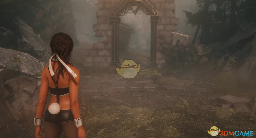 《光与影：33号远征队》熙艾尔的性感兔女郎套装MOD