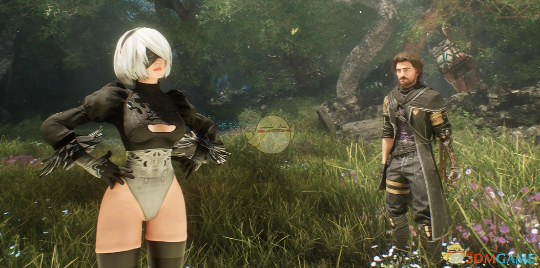 《光与影：33号远征队》尼尔机械纪元2B外观MOD