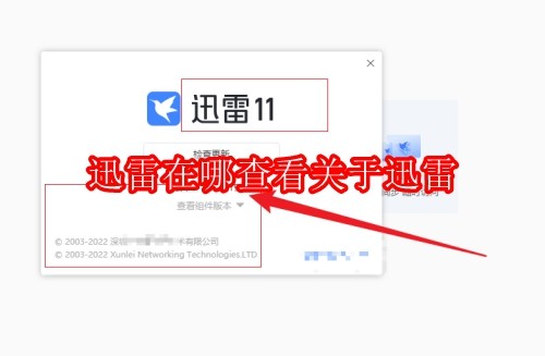 迅雷在哪查看关于迅雷