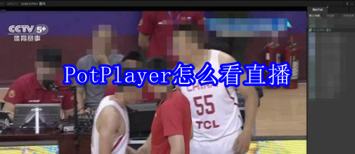PotPlayer怎么看直播