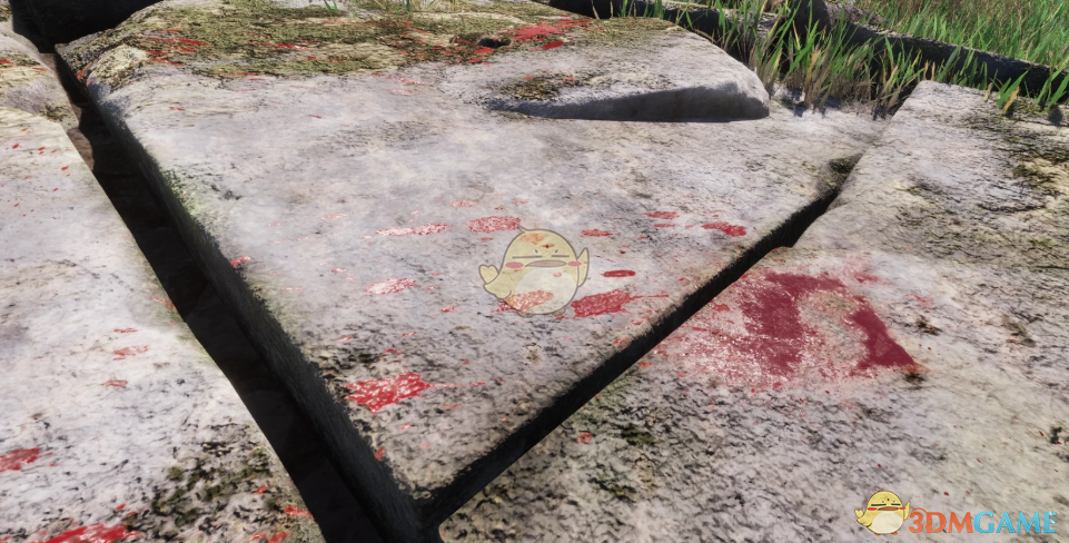 《上古卷轴4：湮灭重制版》增强的血液纹理MOD