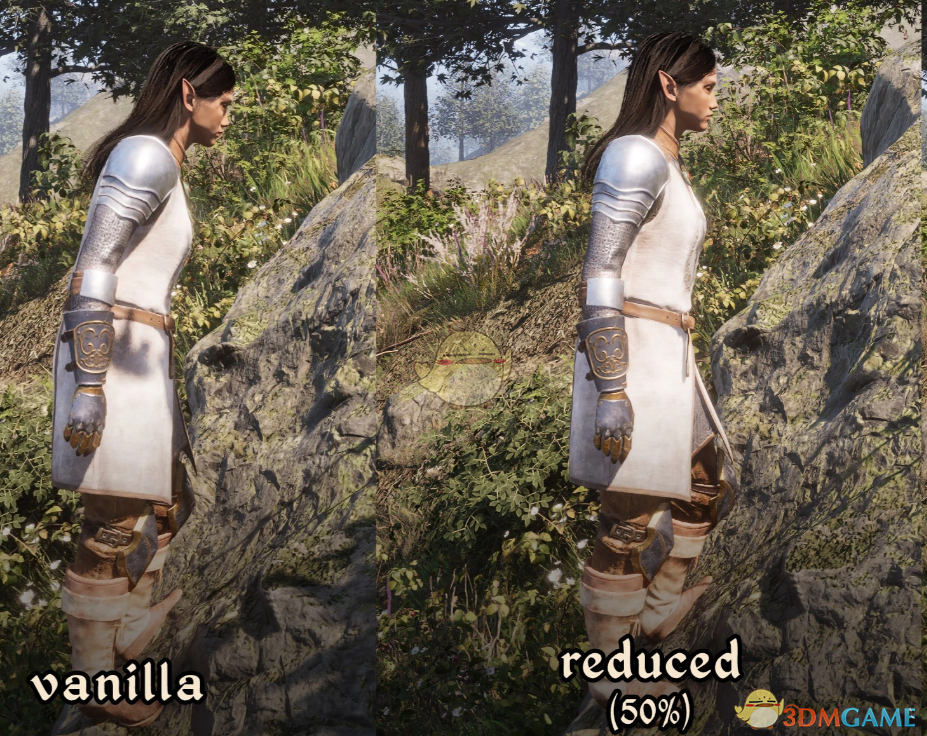 《上古卷轴4：湮灭重制版》减少身体斜率倾斜MOD