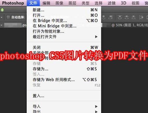 photoshop CS5怎么将图片转换为PDF文件