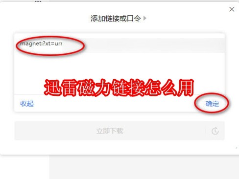 迅雷磁力链接怎么用