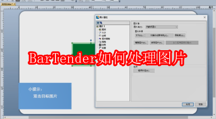 BarTender如何处理图片