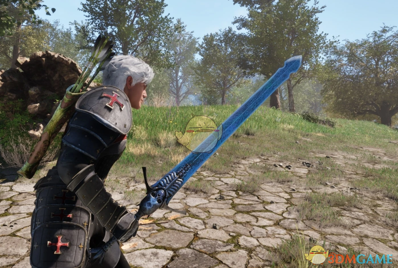 《上古卷轴4：湮灭重制版》鬼泣5叛逆之刃MOD