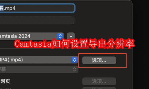 Camtasia如何设置导出分辨率