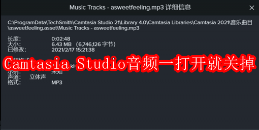Camtasia Studio音频一打开就关掉