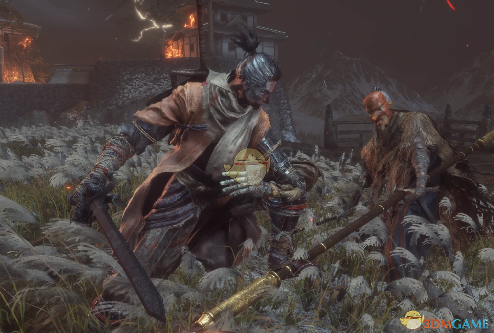 《只狼：影逝二度》黑暗之魂环印骑士直剑MOD