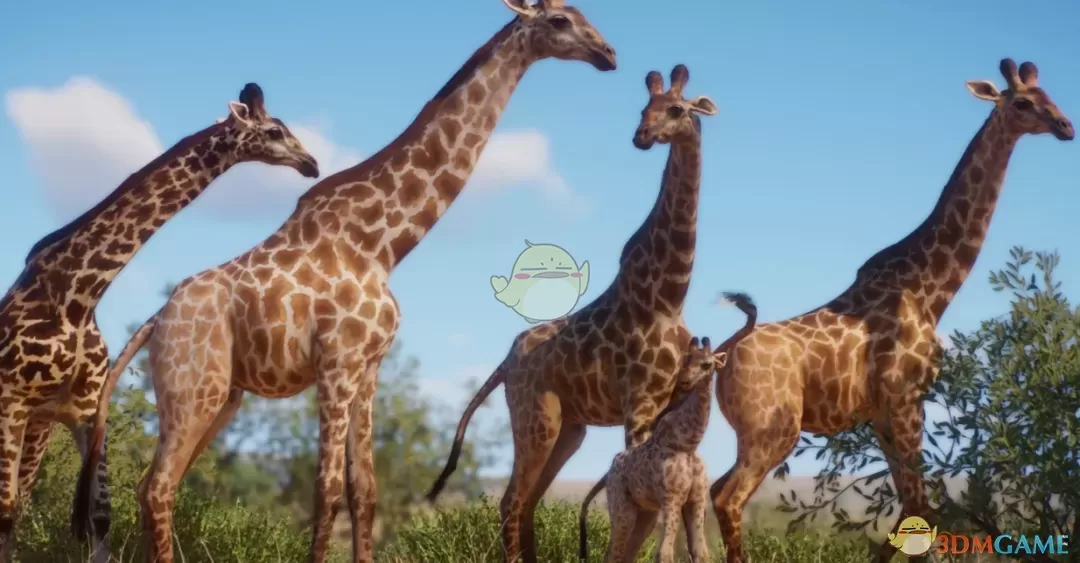 《动物园之星》新物种南非长颈鹿MOD