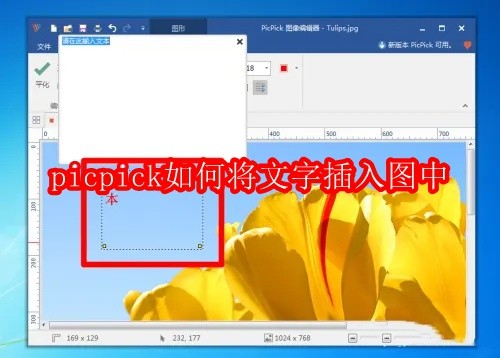 picpick如何将文字插入图中