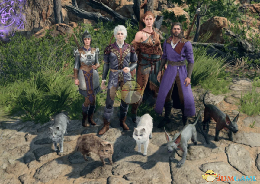 《博德之门3》猫咪宝箱MOD