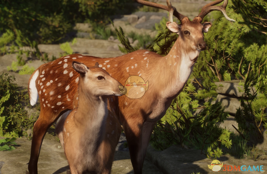 《动物园之星》新物种暹罗鹿MOD