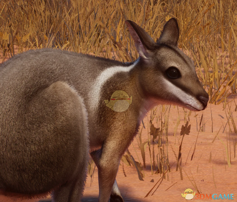 《动物园之星》新物种尖尾兔袋鼠MOD