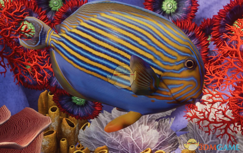 《动物园之星》新物种纹倒吊鱼MOD