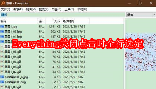 Everything怎么关闭点击时全行选定
