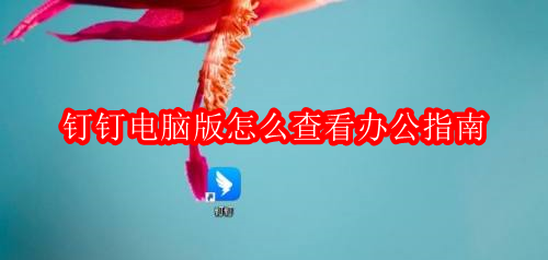 钉钉电脑版怎么查看办公指南