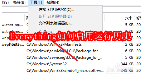 Everything如何启用运行历史