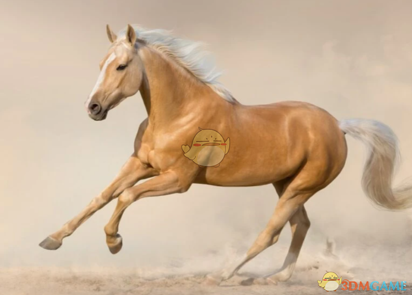 《上古卷轴4：湮灭重制版》可骑乘野马MOD