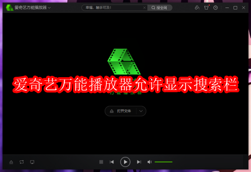 爱奇艺万能播放器如何允许显示搜索栏