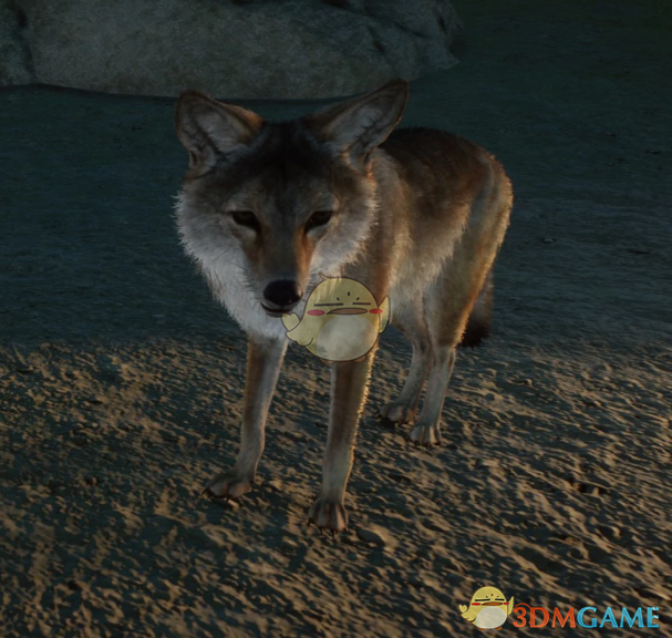 《动物园之星》新物种欧洲郊狼MOD