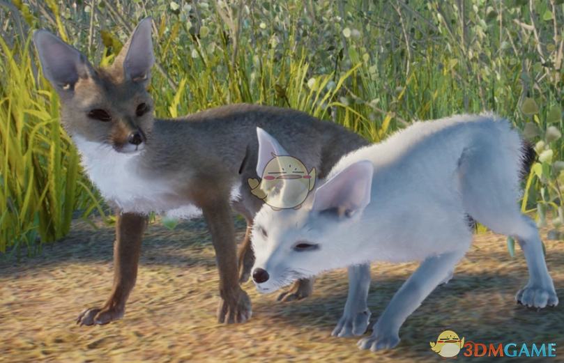 《动物园之星》新物种孟加拉狐MOD