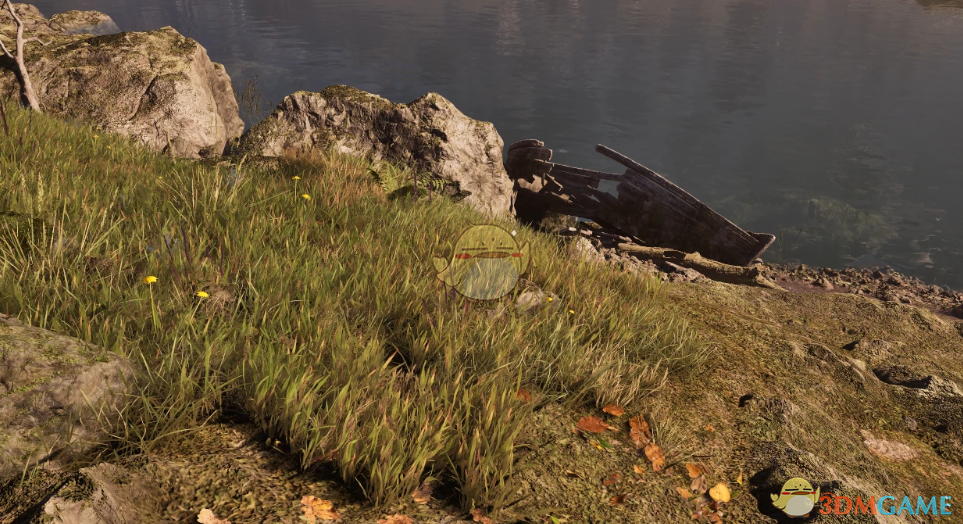 《上古卷轴4：湮灭重制版》更多的草MOD