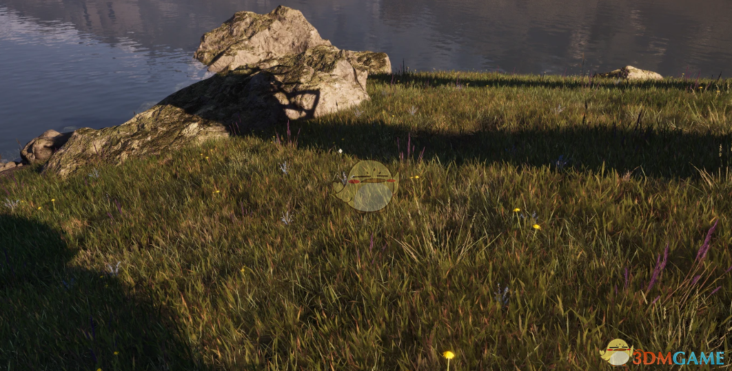 《上古卷轴4：湮灭重制版》更多的草MOD