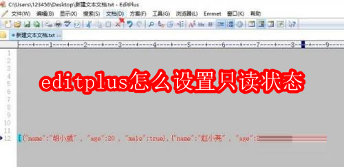 editplus怎么设置只读状态