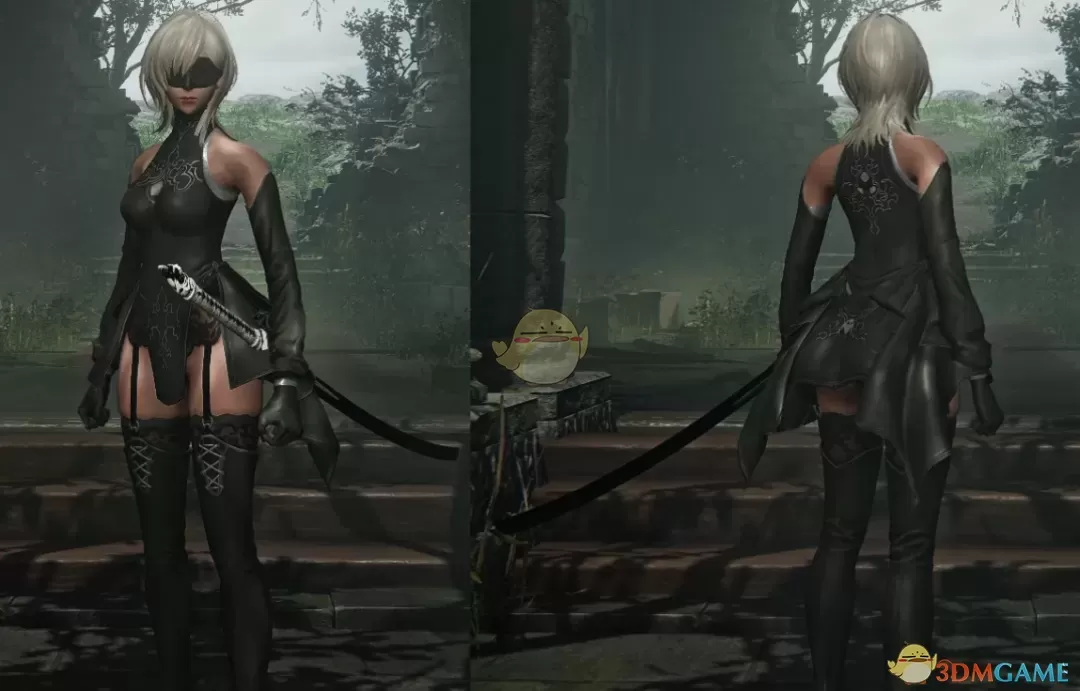 《艾尔登法环：黑夜君临》尼尔轮回转生10H外观MOD