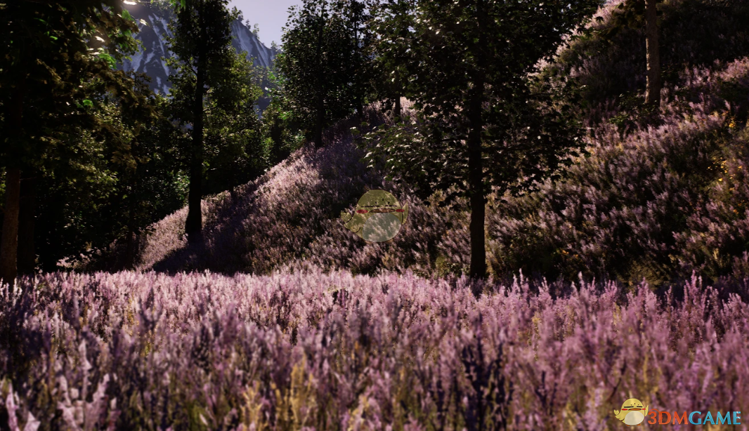 《上古卷轴4：湮灭重制版》薰衣草地MOD