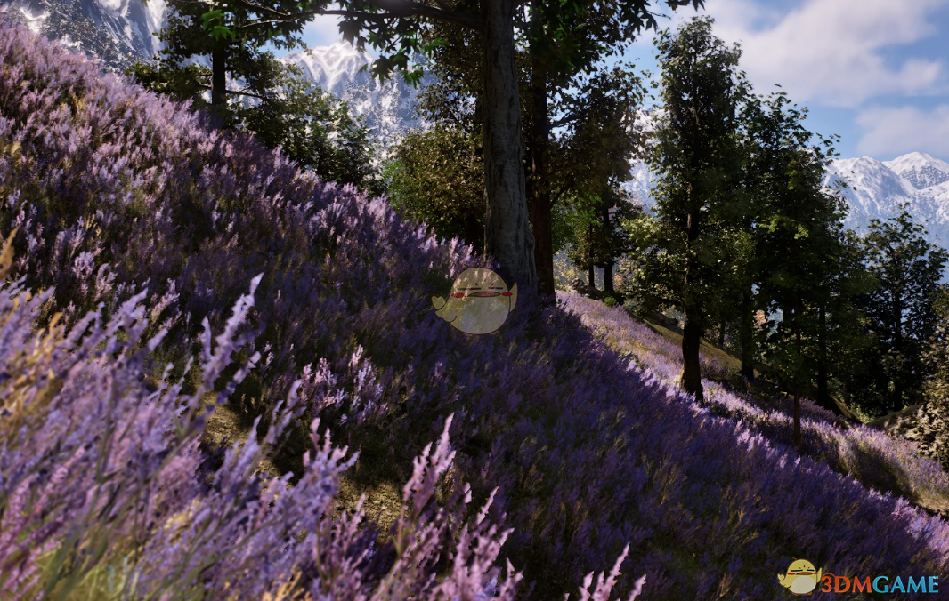 《上古卷轴4：湮灭重制版》薰衣草地MOD