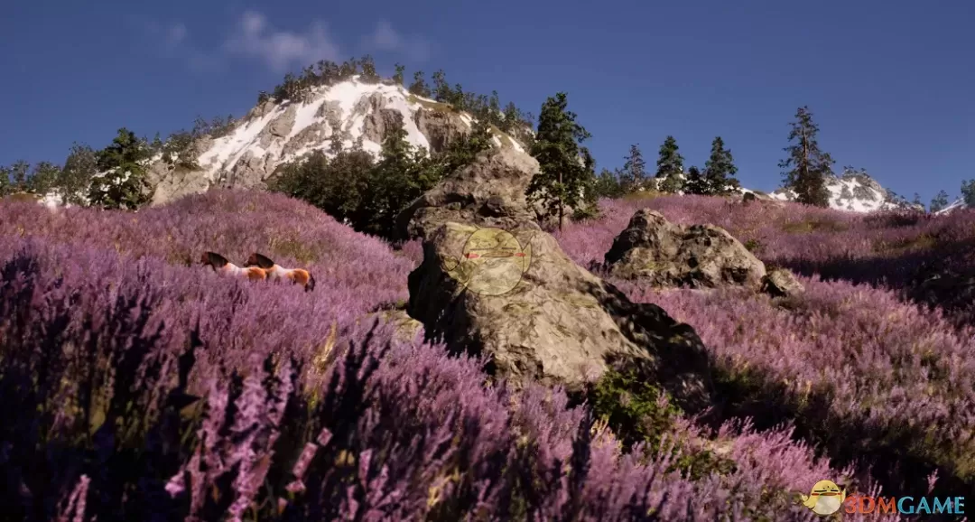 《上古卷轴4：湮灭重制版》薰衣草地MOD