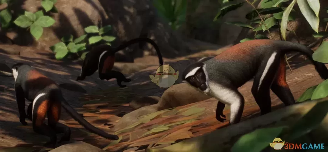 《动物园之星》新物种黛安娜长尾猴MOD